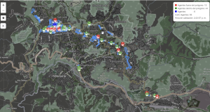 A New Tech Solution for Smarter Traffic Incident Management