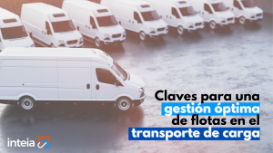 Path to Efficiency: Key Strategies for Optimal Fleet Management in Freight Transport