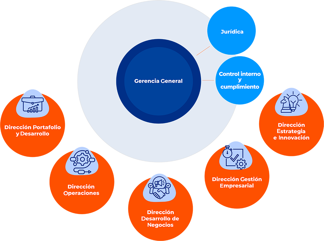 Estructura Organizacional